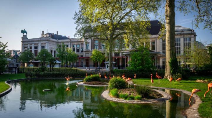 Studio In City Center With Terrace, Netflix - Wifi Antwerpen Exteriör bild